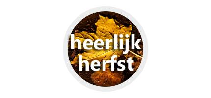 Nieuwsbrief november 2022
