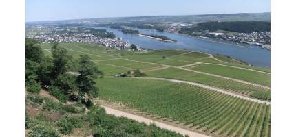 Duitsland, zoals u het nog nooit geproefd heeft!