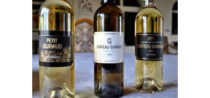 Bordeaux: een wijngebied van uitersten.