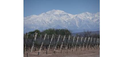 Argentinië is op zoek naar terroir.