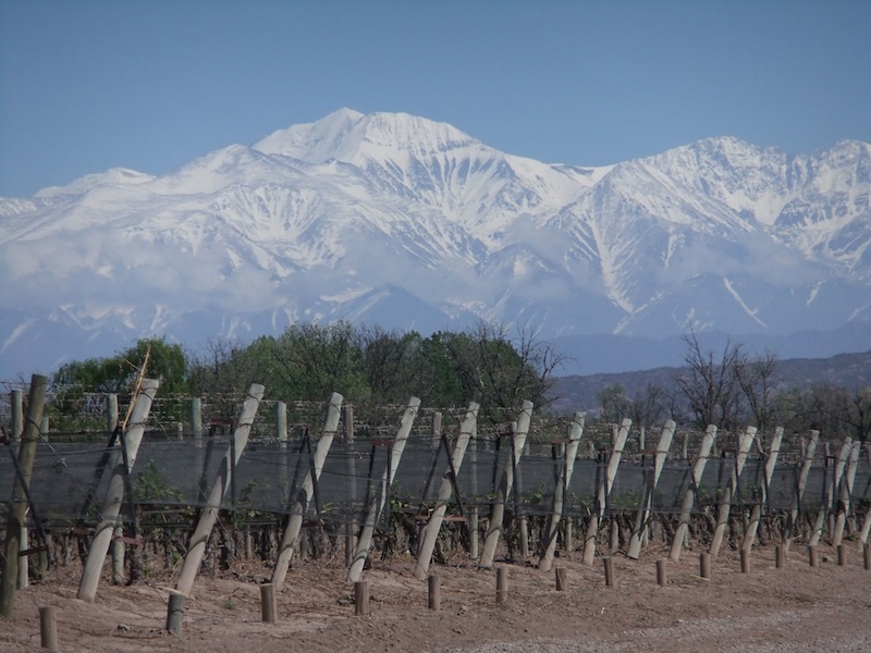 Mendoza Andes