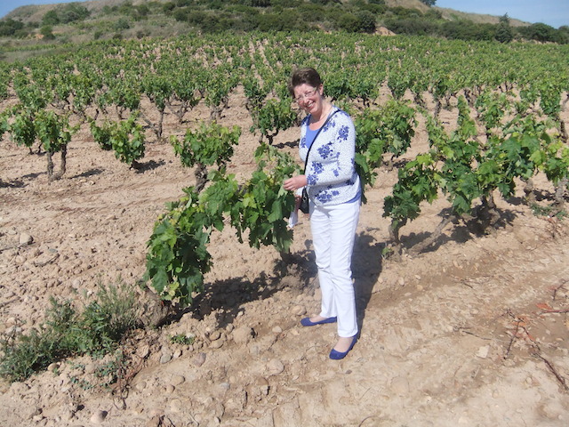 Rioja Marja van Tooren
