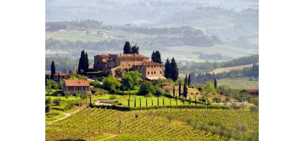Bloem in Toscane 2017