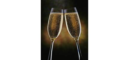 Grootste champagne assortiment van Arnhem en omstreken