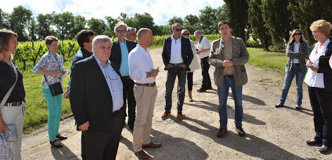 Tussen de wijngaarden op Ch&acirc;teau Fongaban