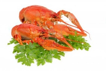 Kreeft verkleind