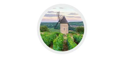 Très Bourgogne
