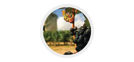 Rhône 2016-2017 Voorverkoop