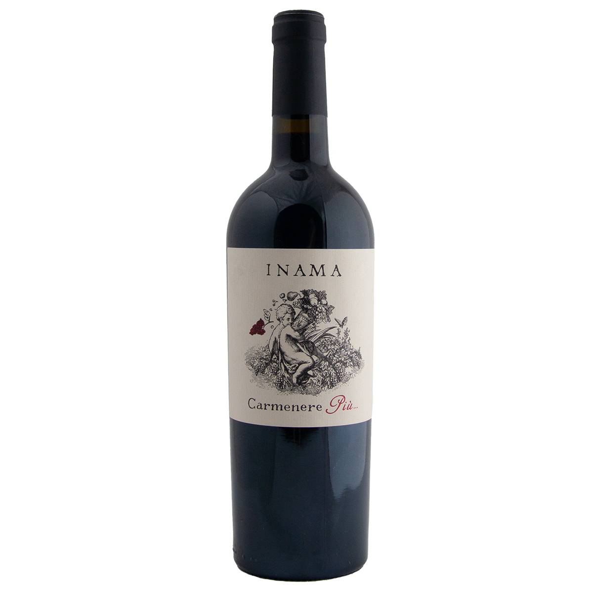 Carmenere Piu Del Veneto - www.henribloem.nl - Henri Bloem Carmenere Piu Del Veneto - www.henribloem.nl - Henri Bloem