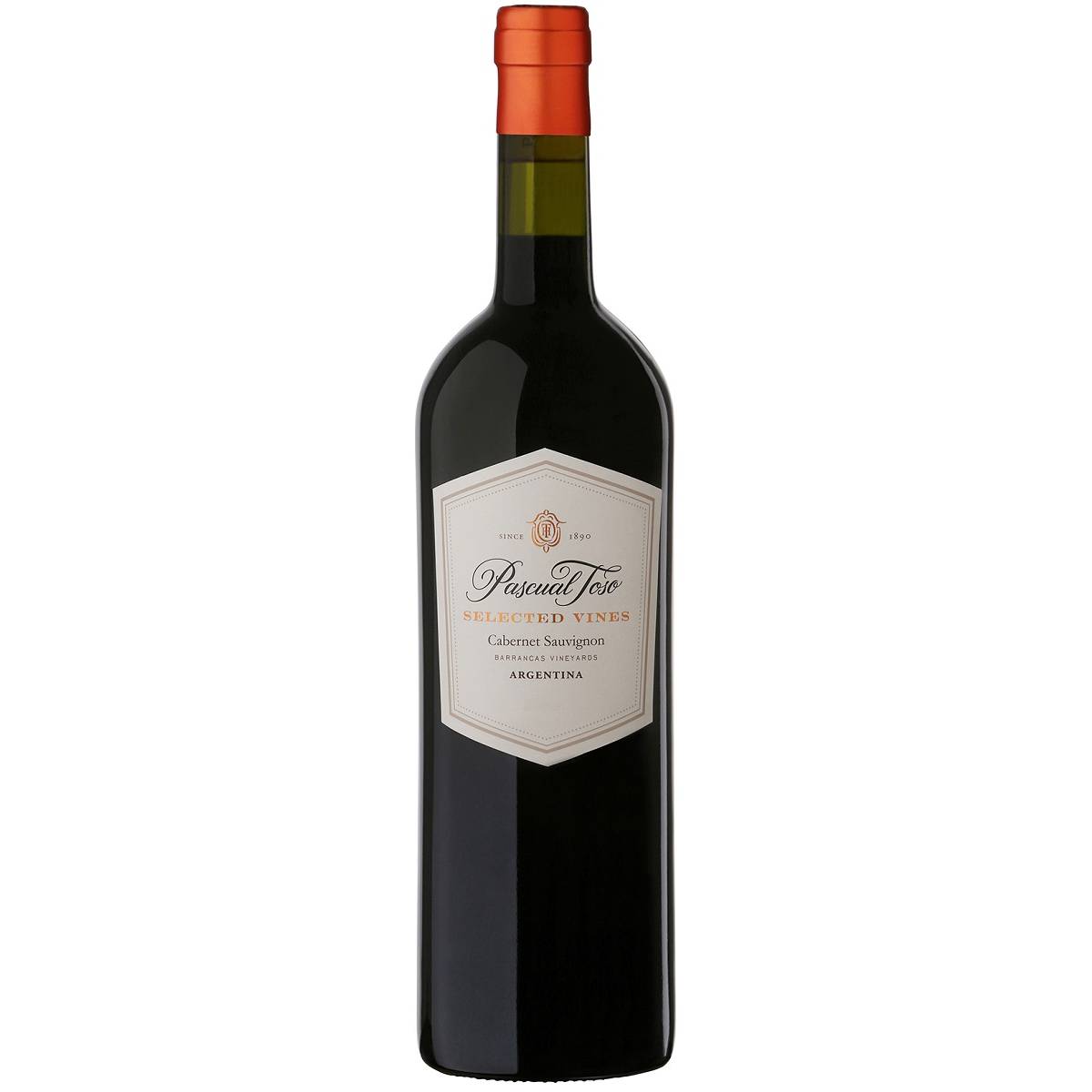 Cabernet Sauvignon Selected Vines Cabernet Sauvignon Selected Vines - www.henribloem.nl - Henri Bloem Cabernet Sauvignon Selected Vines Cabernet Sauvignon Selected Vines - www.henribloem.nl - Henri Bloem