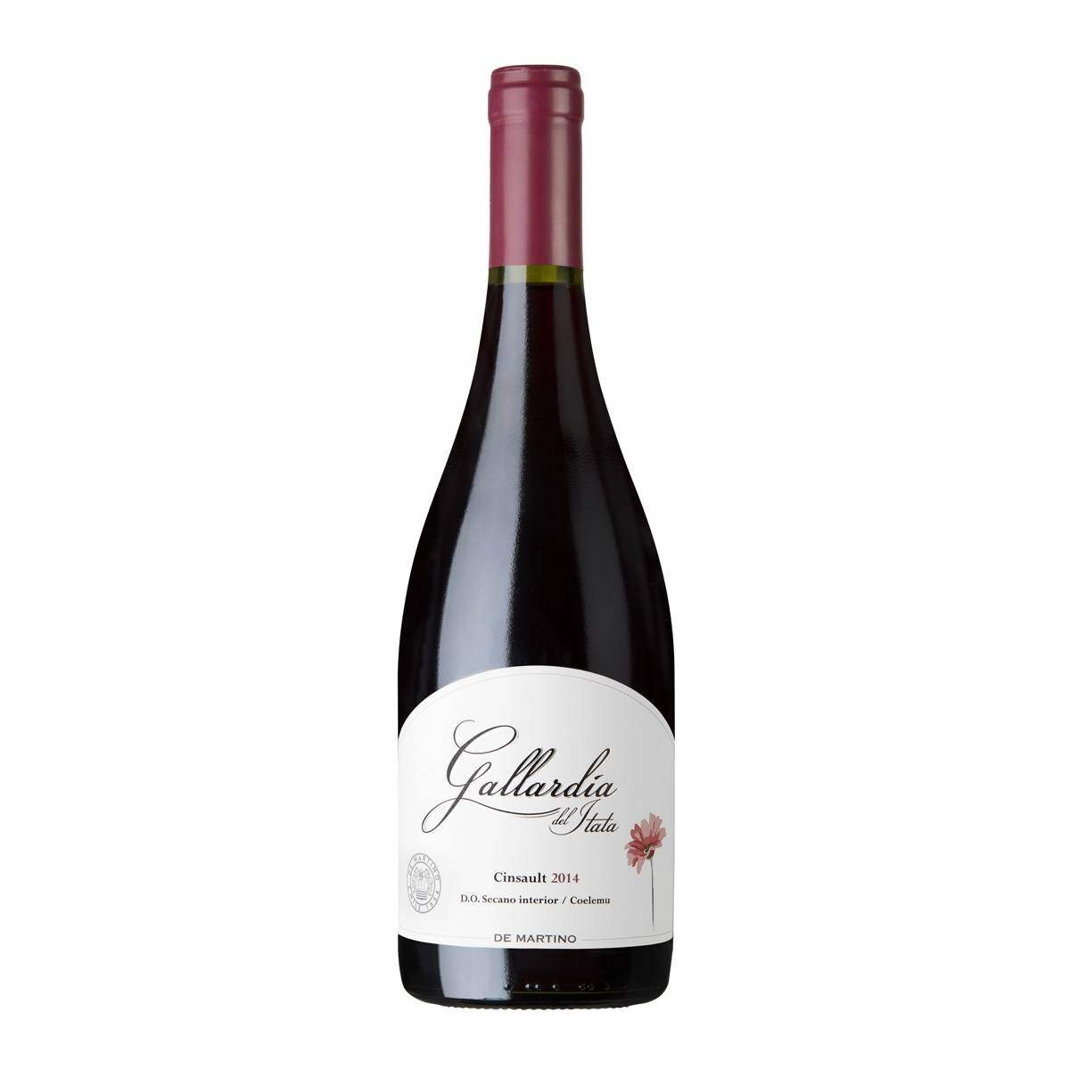Gallardía del Itata Cinsault Gallardía del Itata Cinsault - www.henribloem.nl - Henri Bloem Gallardía del Itata Cinsault Gallardía del Itata Cinsault - www.henribloem.nl - Henri Bloem