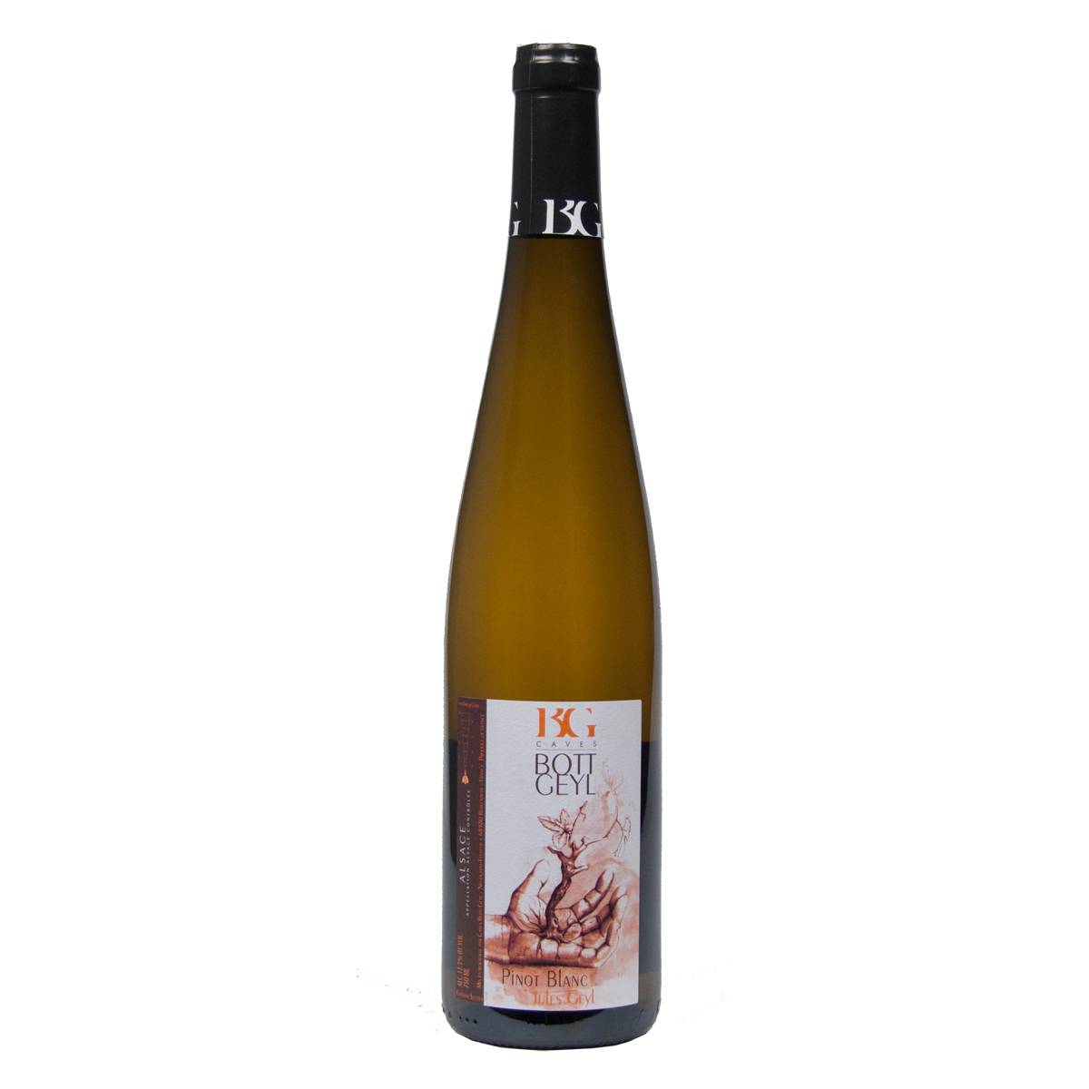 Pinot Blanc Jules Geyl Pinot Blanc Jules Geyl - www.henribloem.nl - Henri Bloem Pinot Blanc Jules Geyl Pinot Blanc Jules Geyl - www.henribloem.nl - Henri Bloem