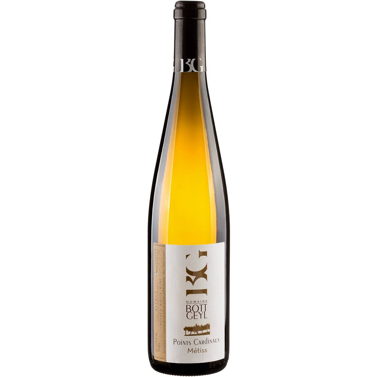 Grain de Pinots Grain de Pinots - www.henribloem.nl - Henri Bloem Grain de Pinots Grain de Pinots - www.henribloem.nl - Henri Bloem