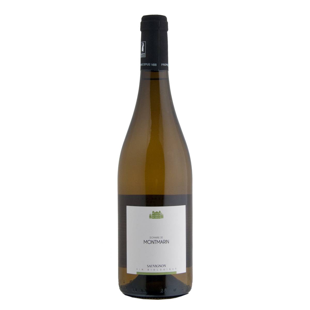 Sauvignon Blanc Sauvignon Blanc - www.henribloem.nl - Henri Bloem Sauvignon Blanc Sauvignon Blanc - www.henribloem.nl - Henri Bloem