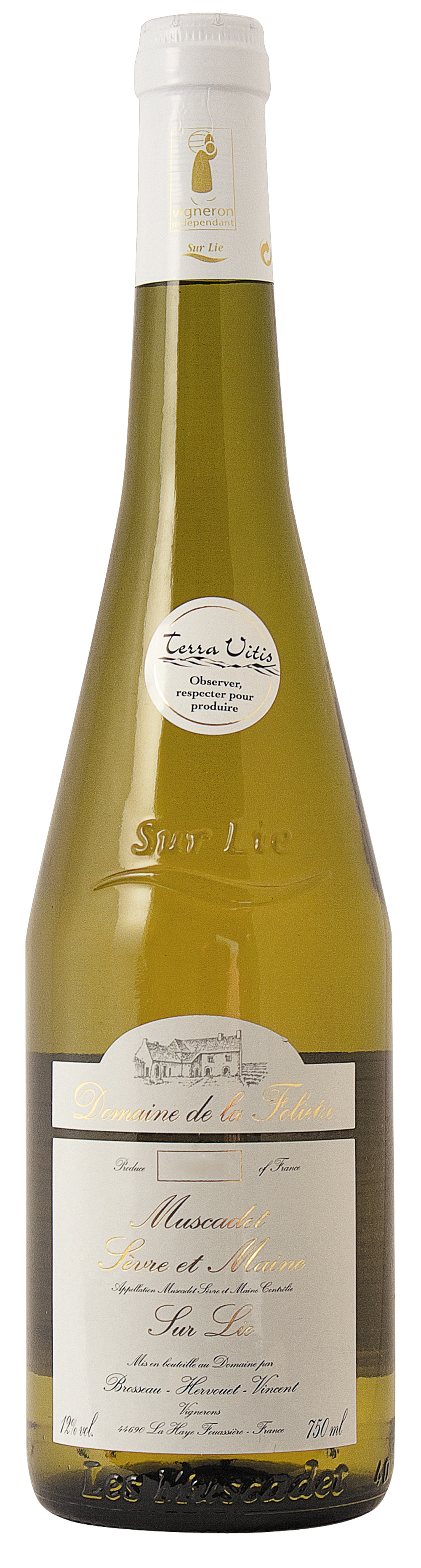 Muscadet de S&egrave;vre et Maine