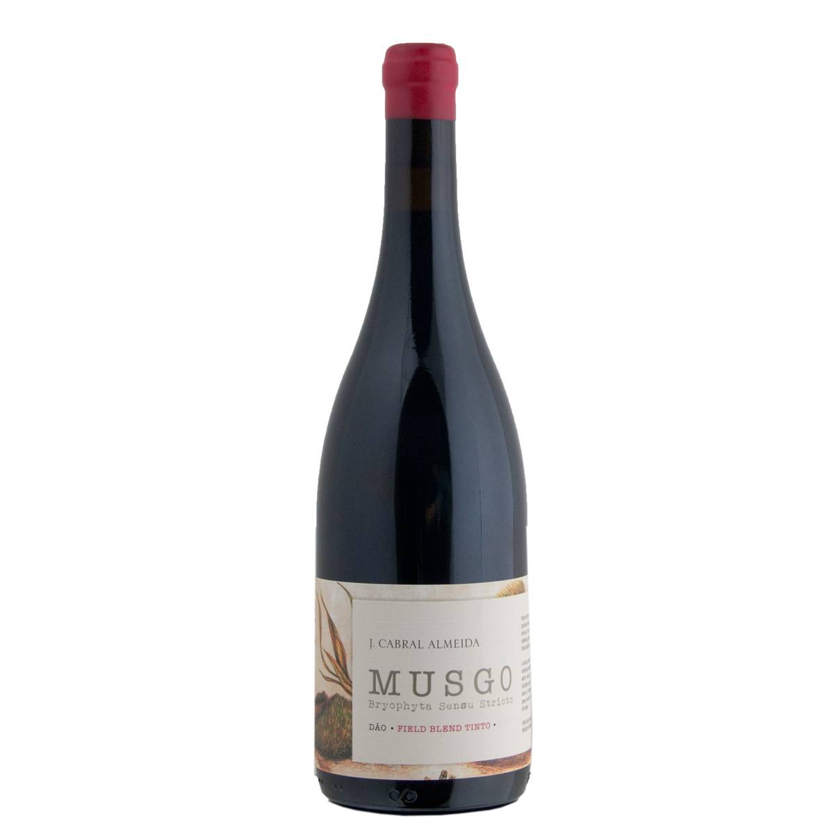 Musgo Tinto Musgo Tinto - www.henribloem.nl - Henri Bloem