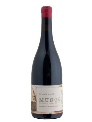   Musgo Tinto