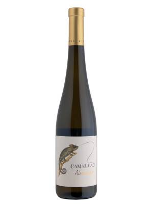   Alvarinho