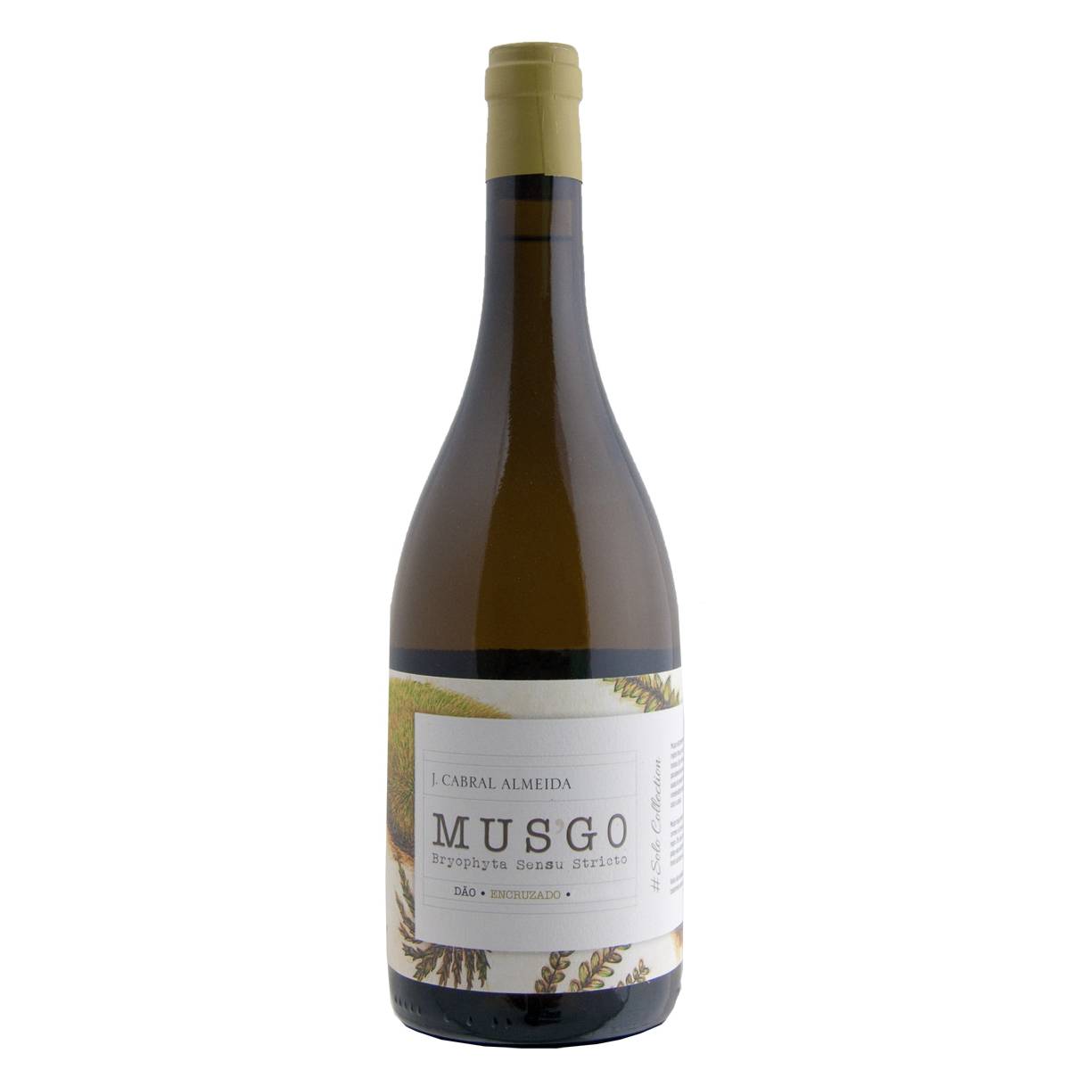 Musgo Reserva Branco Musgo Reserva Branco - www.henribloem.nl - Henri Bloem Musgo Reserva Branco Musgo Reserva Branco - www.henribloem.nl - Henri Bloem