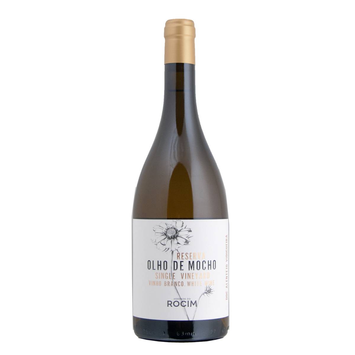 Olho de Mocho branco Olho de Mocho branco - www.henribloem.nl - Henri Bloem Olho de Mocho branco Olho de Mocho branco - www.henribloem.nl - Henri Bloem