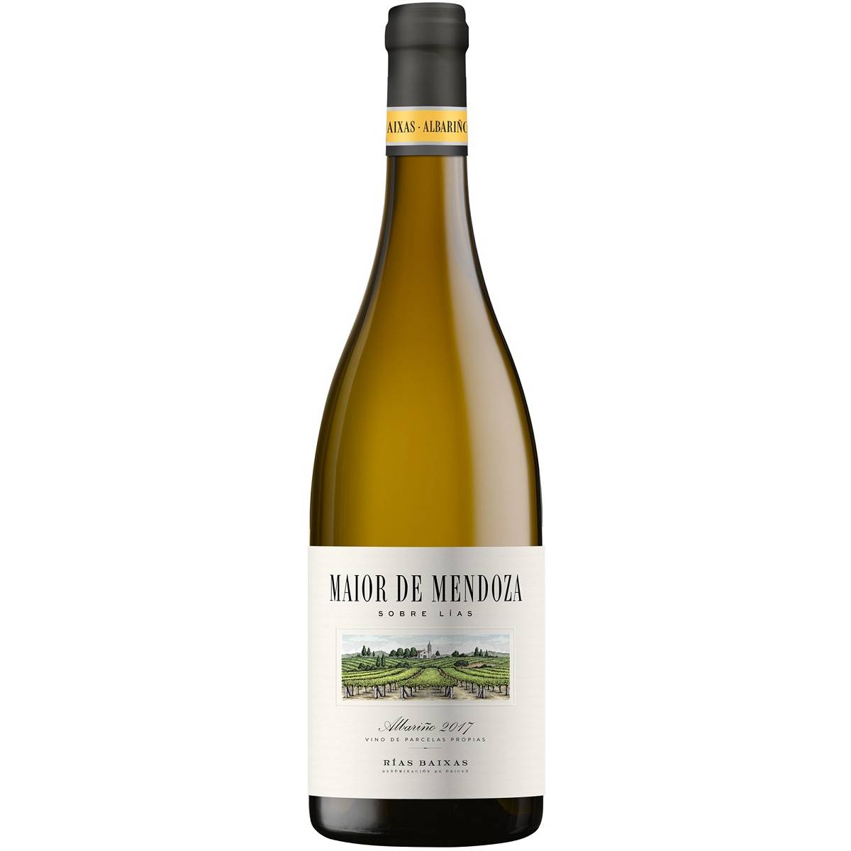Albariño on Lees Albariño on Lees - www.henribloem.nl - Henri Bloem Albariño on Lees Albariño on Lees - www.henribloem.nl - Henri Bloem